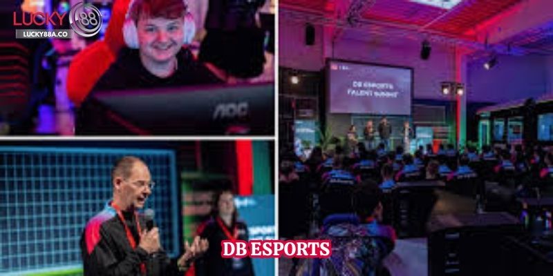 DB Esports 1